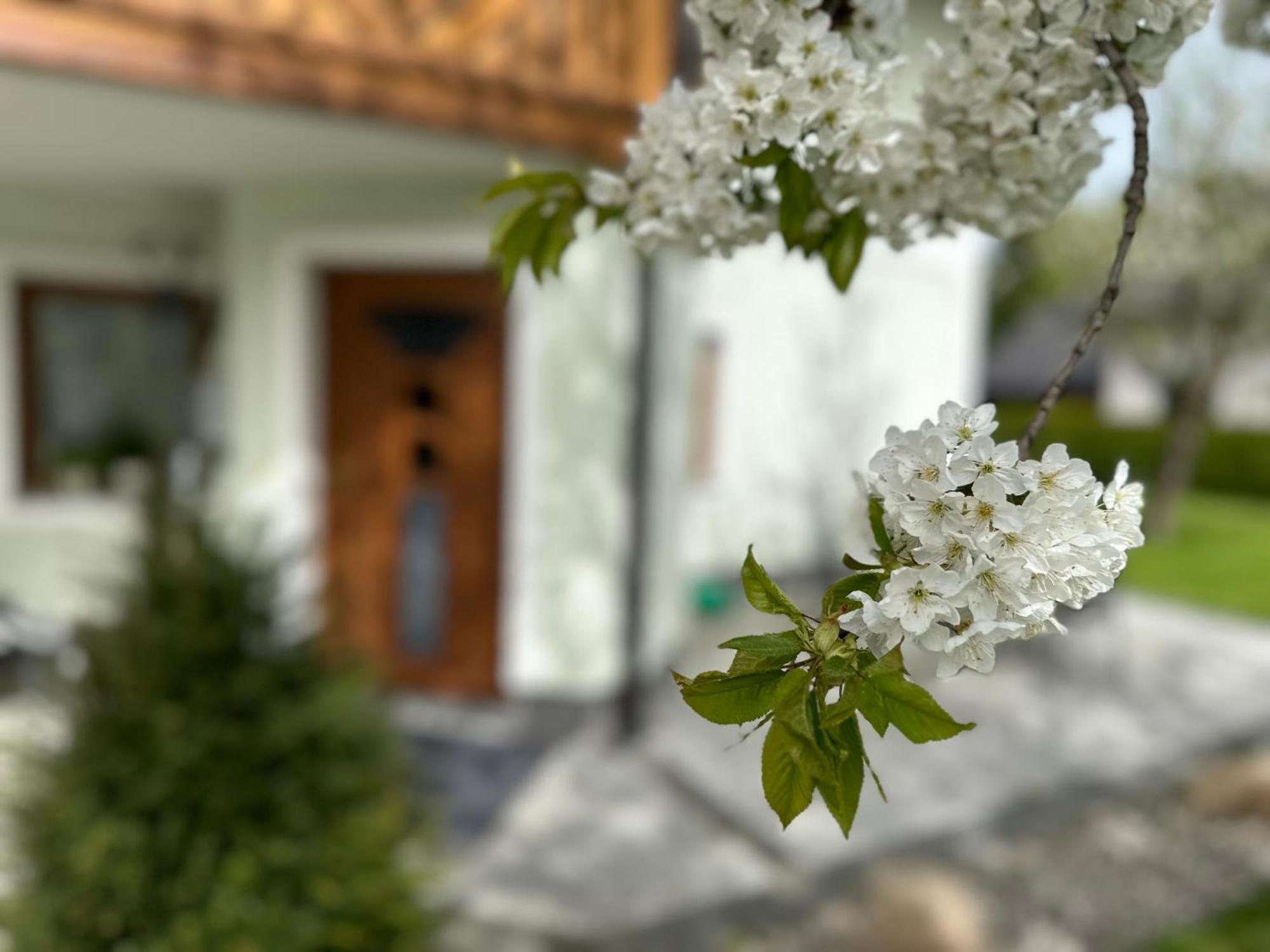 Romantic Chalet - Alpine Getaway Salzkammergut Viechtwang Exterior foto